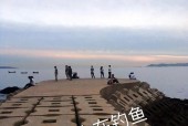 奥德赛钓鱼拍照用手机拍摄技巧是什么？