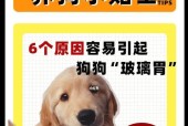 吃魔域爽过多导致呕吐？可能的原因是什么？