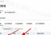 帕鲁服务器密码查询步骤是什么？