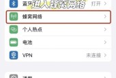 苹果手机打开高手模式的方法？