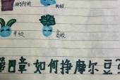 摩尔庄园最新鱼类图片欣赏（探索鱼类之美）