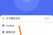 如何清除浏览器缓存记录（简单方法帮你保护隐私）