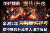 DNF免费辅助官方网站（高效、安全的游戏辅助工具）