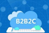 探索国内B2C平台的发展现状与趋势（国内B2C平台的兴起和影响力）