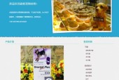 大学生DW网页设计作业实践经验分享（一位大学生的网页设计历程及技巧总结）