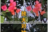 苹果手机拍照模糊问题如何解决？