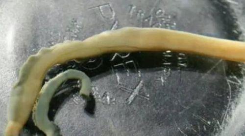 邪恶小法师装备攻略（成为邪恶小法师）  第2张