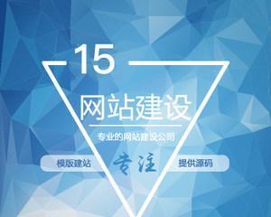 如何选择一家优质的网站设计制作公司（掌握）  第3张