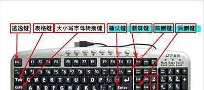 电脑键盘大揭秘（深入了解电脑键盘的各个按键功能）  第3张