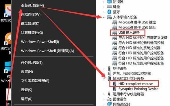 如何解决鼠标左键连续点击问题（教你修复鼠标左键多次点击的方法）  第1张