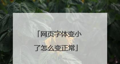 电脑网页字体变小了怎么调整回正常大小？  第3张