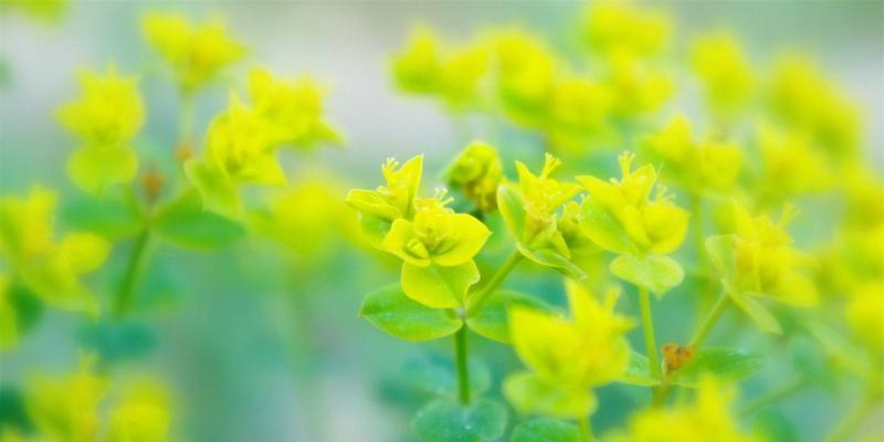 电脑桌面壁纸如何设置才能更清晰？  第2张