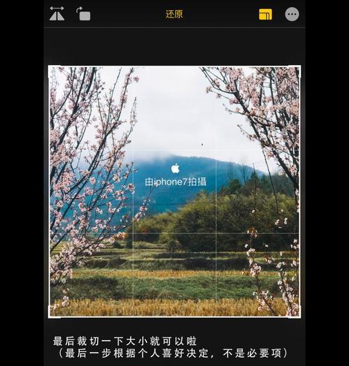 手机拍照如何添加水印？水印位置和样式怎么设置？  第3张