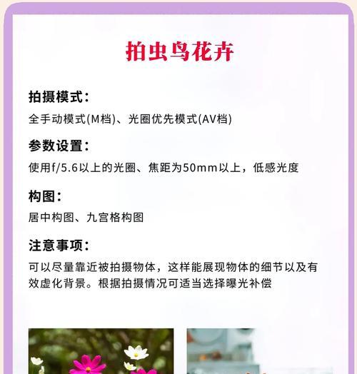 如何形容多人用手机拍照？拍照场景描述方法是什么？  第1张