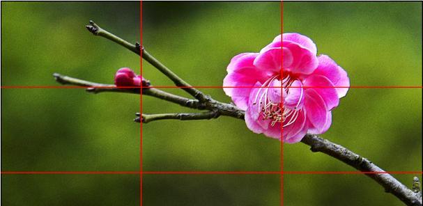 方便式携带相机拍照技巧是什么？  第3张