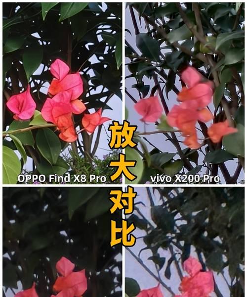 苹果手机拍照模糊问题如何解决？  第1张