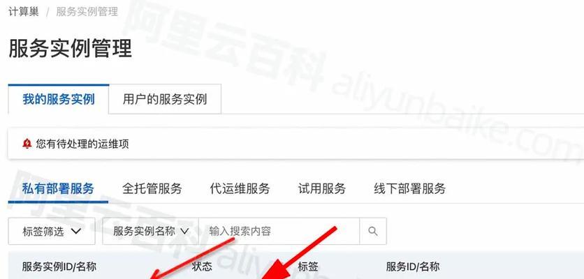 帕鲁服务器密码查询步骤是什么？  第1张