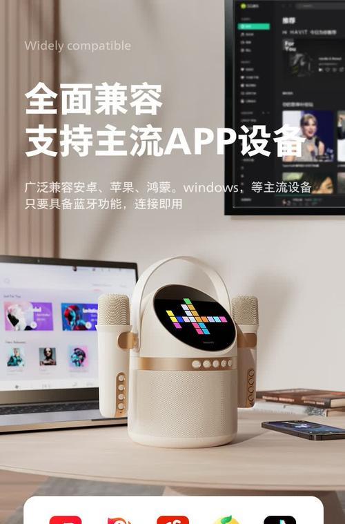 品牌话筒音箱连接步骤是什么？  第1张