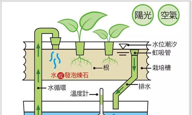 小熊热水器除氯原理及操作步骤？  第1张