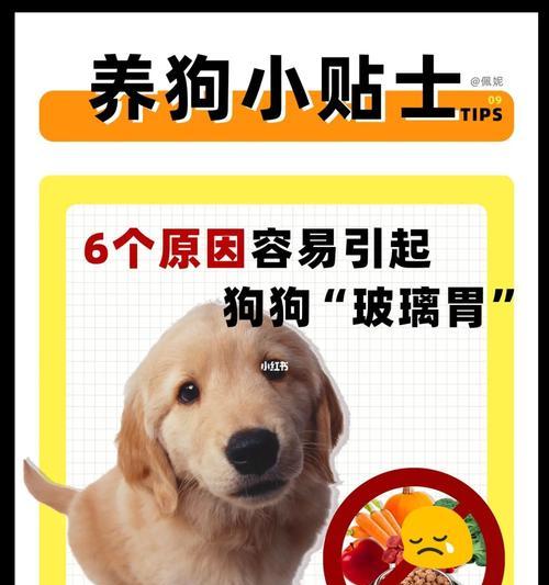 吃魔域爽过多导致呕吐？可能的原因是什么？  第1张